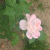 Profil du voisin