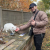 Profil du voisin