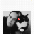 Profil du voisin