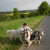 Profil du voisin