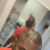 Profil du voisin