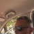 Profil du voisin