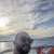 Profil du voisin