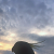 Profil du voisin