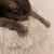 Profil du voisin