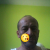 Profil du voisin
