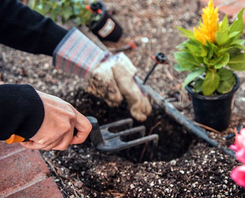 Service jardinier