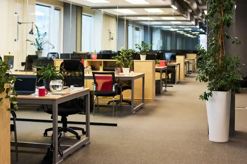 Location bureaux