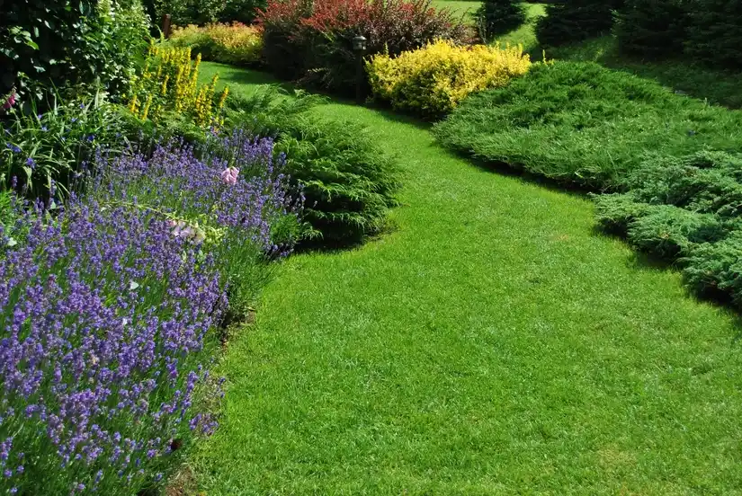 Location jardin privé