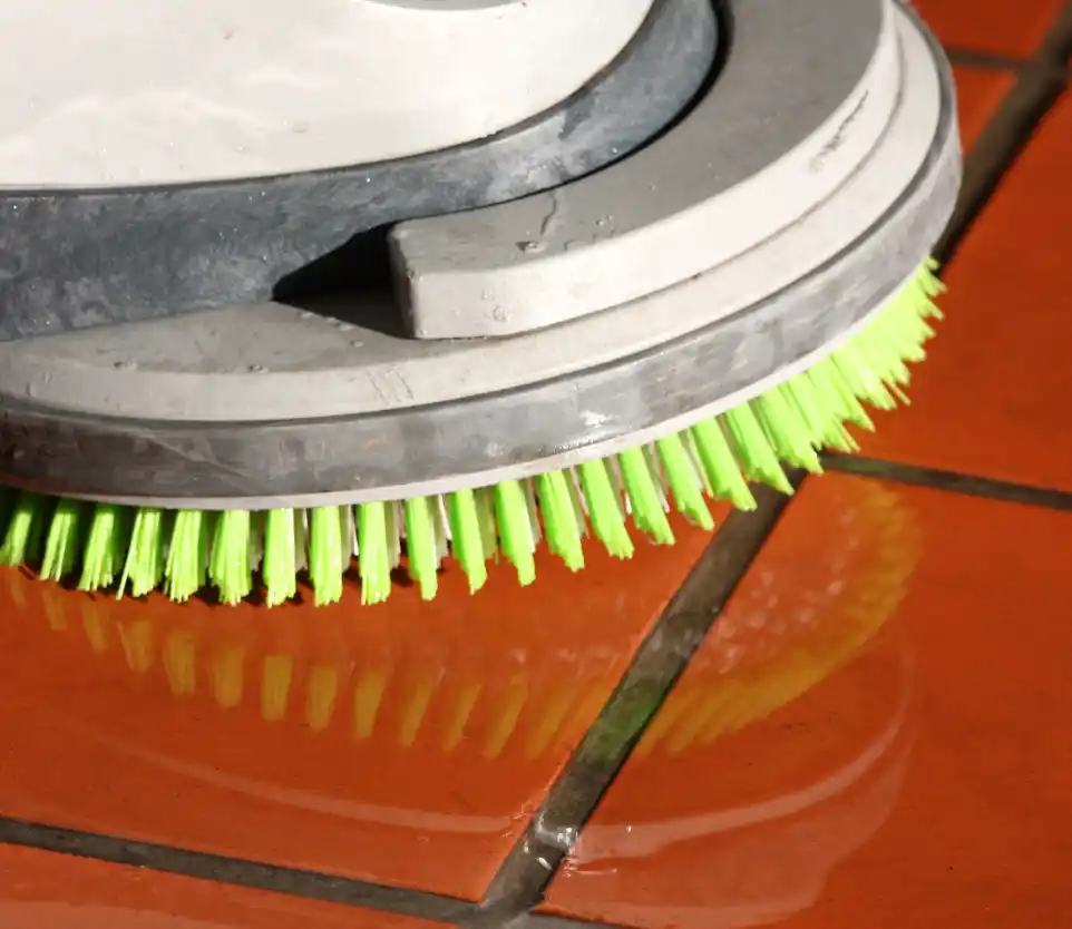 Location monobrosse