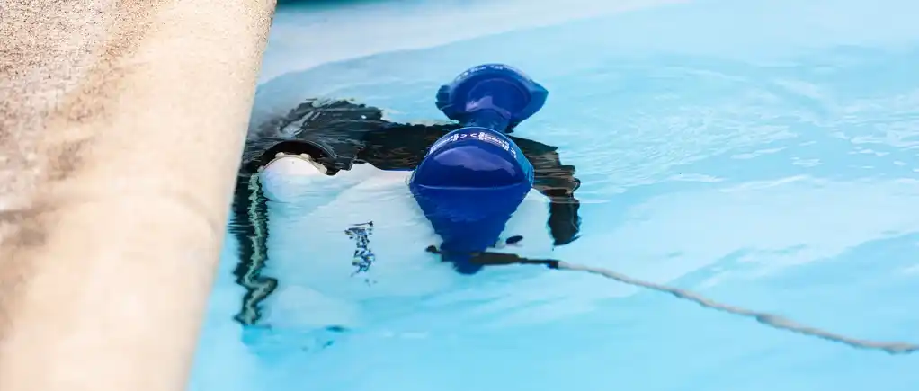 Location robot piscine