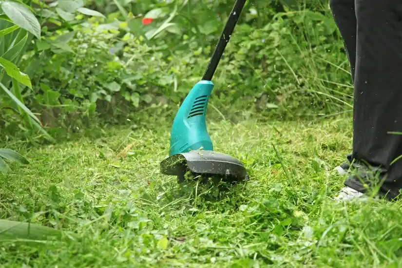 Service débroussaillage