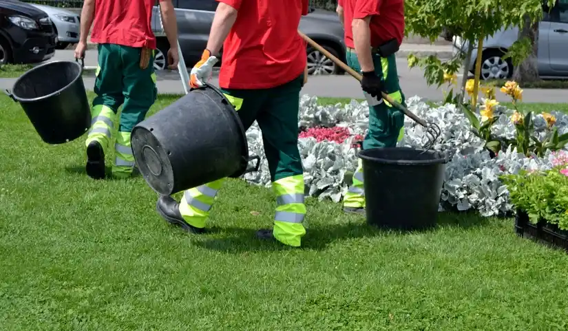 Service jardinage