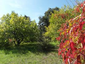 Location jardin potager