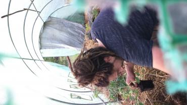 Service dreadlocks