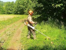 Service entretien jardin