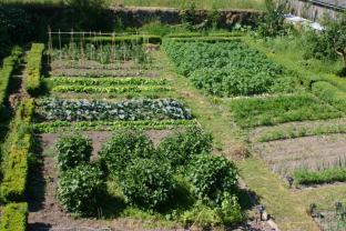 Location jardin potager