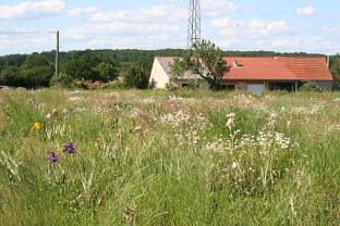 Location debroussailleuse