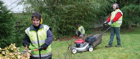 Service entretien espace vert
