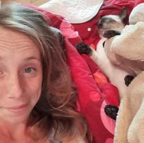 Location chambre meublee