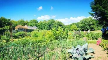 Location jardin potager