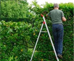 Service entretien jardin