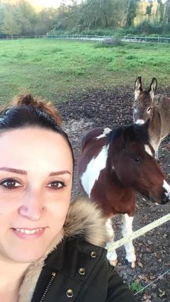 Service aide aux courses