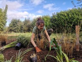 Service amenagement jardin