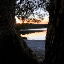Service photographie