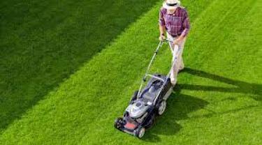 Service entretien espace vert