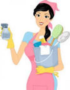 Service aide menagere