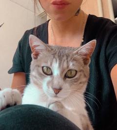 Service garde animaux