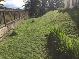 Service entretien jardin