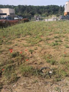 Service amenagement jardin