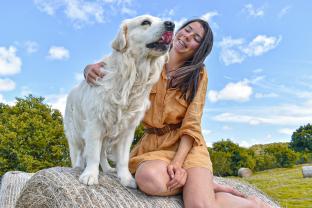 Service garde animaux