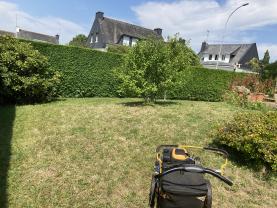 Service tonte de pelouse