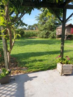 Location tondeuse