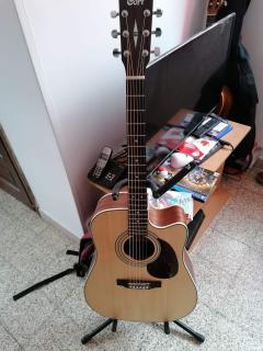 Location guitare