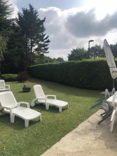 Service taille de haies