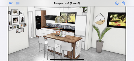 Service pose de cuisine