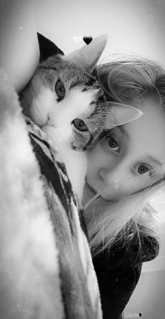 Service garde animaux
