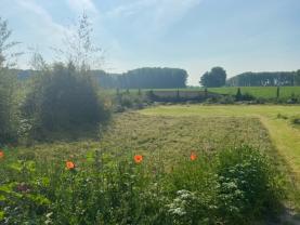 Service amenagement jardin