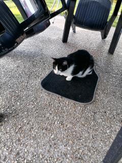 Location aspirateur