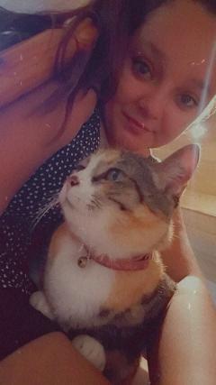 Service garde animaux
