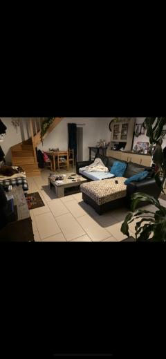 Location colocation maison