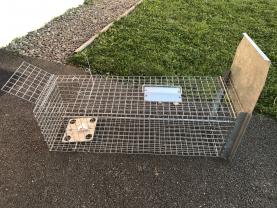 Location cage transport animaux