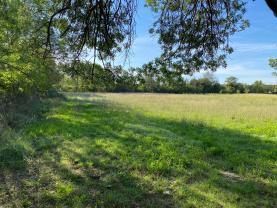 Location jardin potager