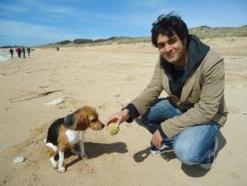 Service garde animaux