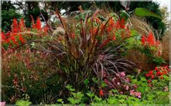 Location jardin potager