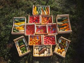 Service amenagement jardin
